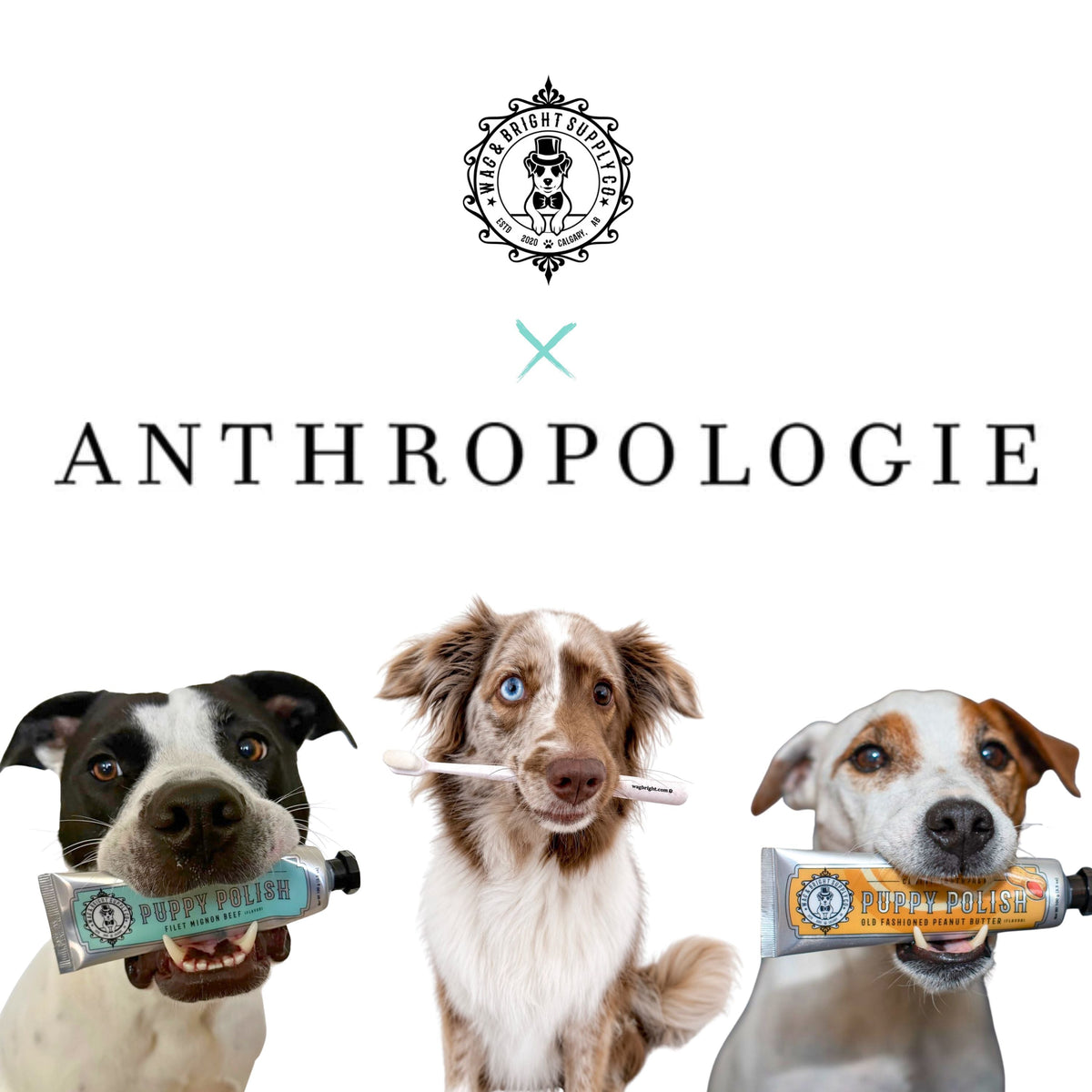 From a Small Canadian Brand to Anthropologie!