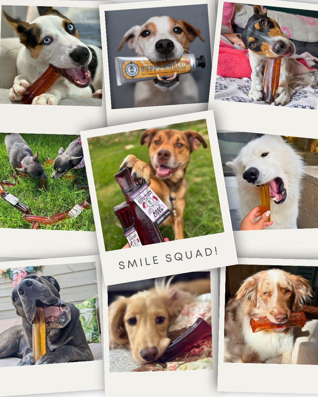 Meet the Smile Squad