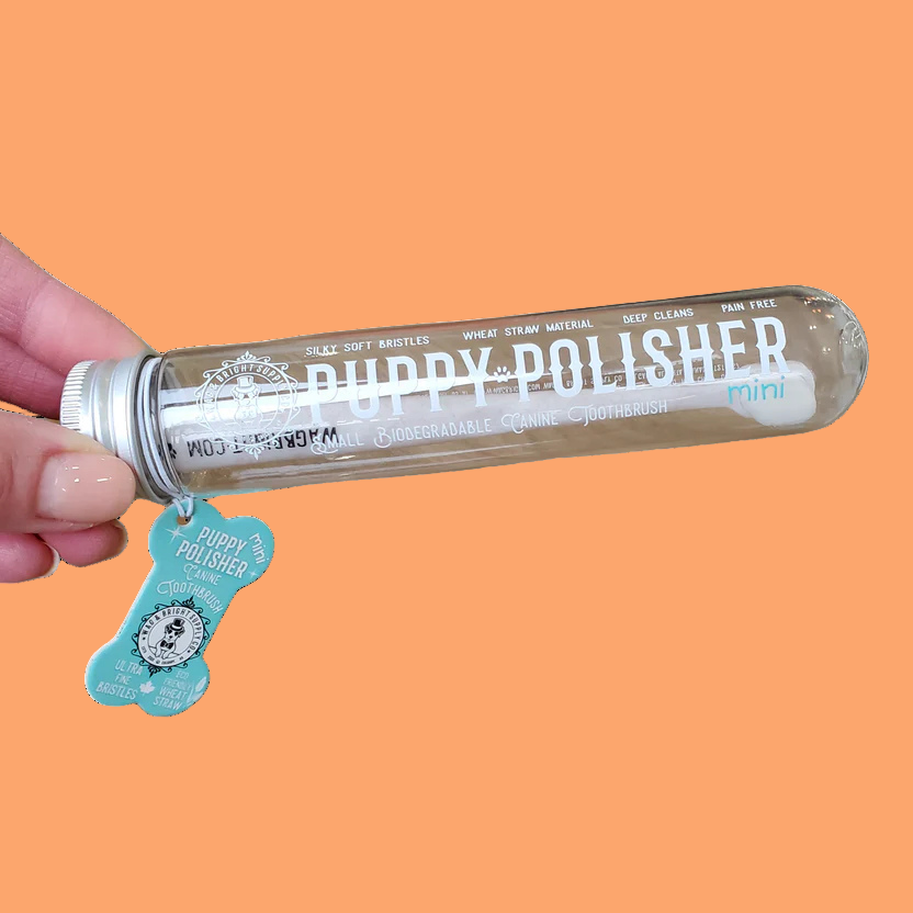 Puppy Polisher Mini Eco Toothbrush (Small)