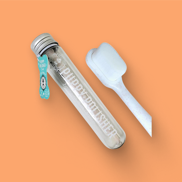 Puppy Polisher Eco Toothbrush (Medium)