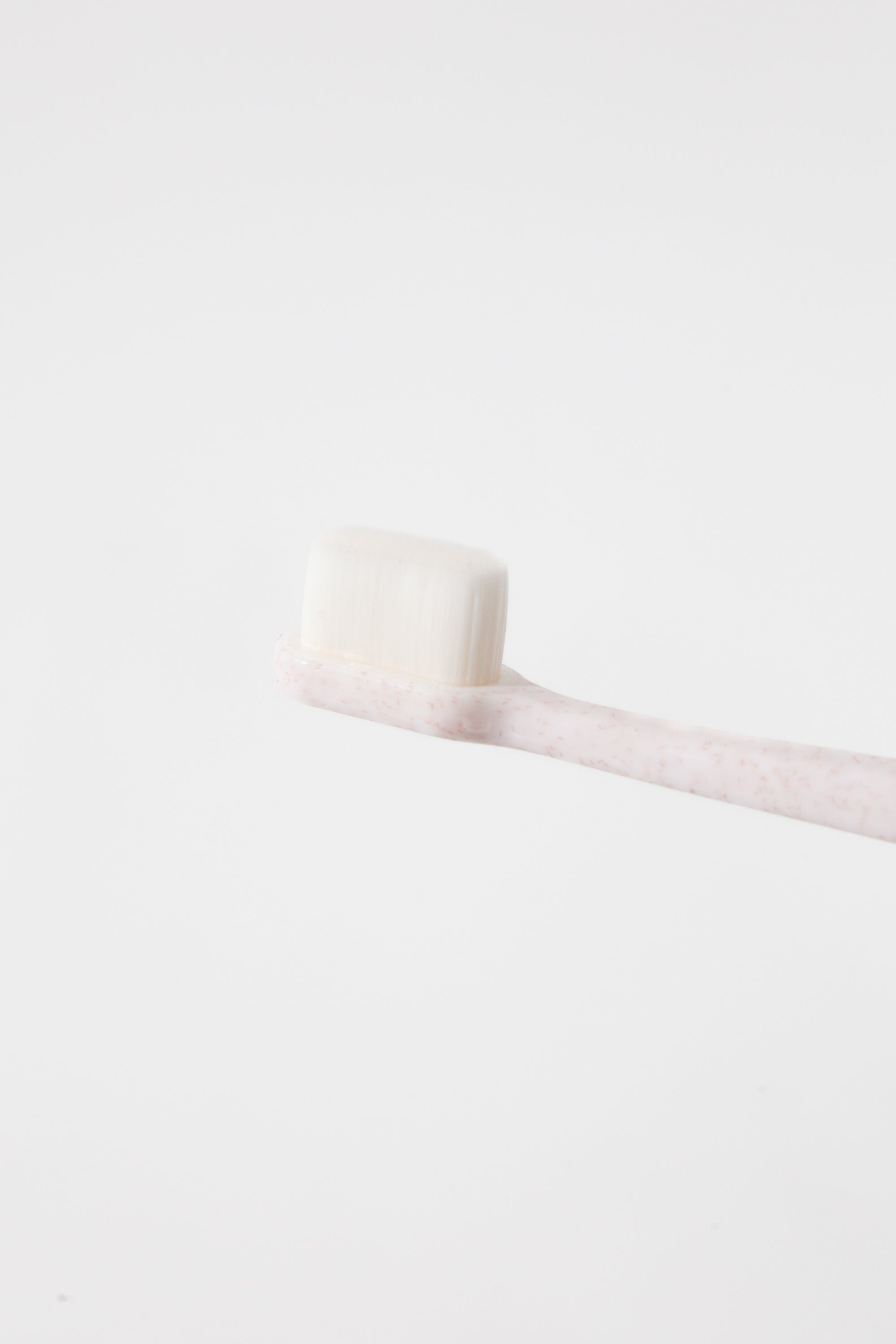 Puppy Polisher Eco Toothbrush (Medium) USA 