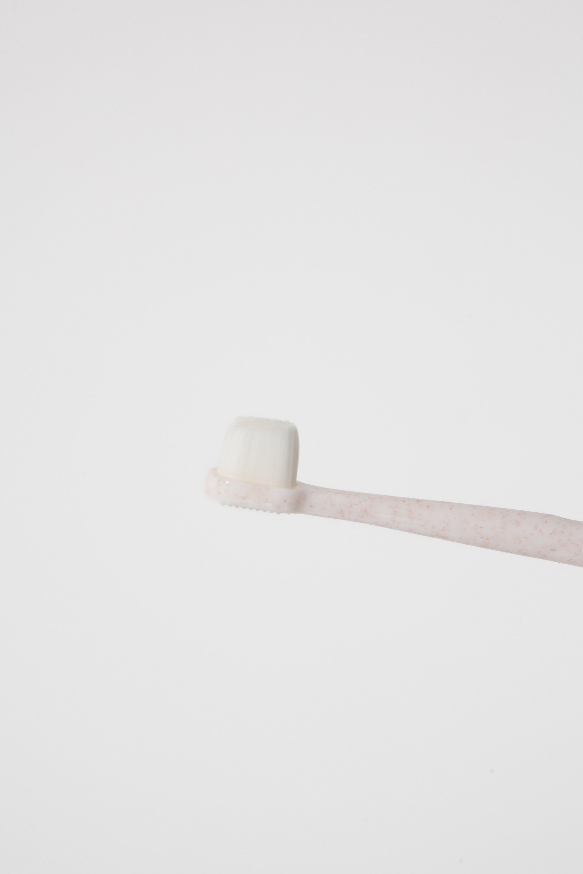 Puppy Polisher Mini Eco Toothbrush (Small)