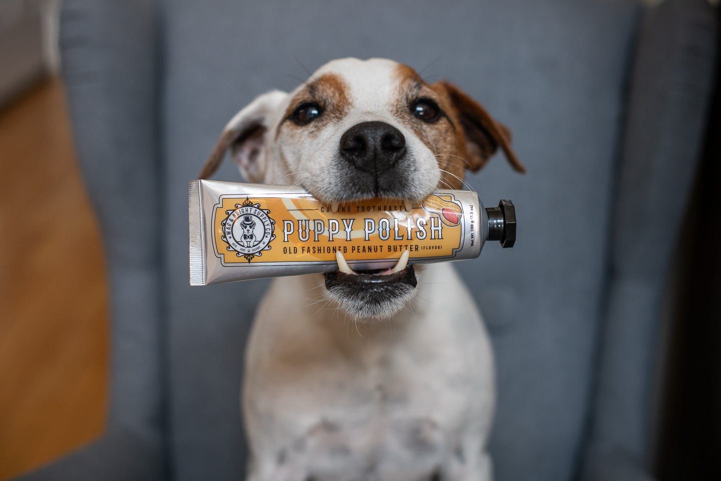 Lincoln loves the peanut toothpaste and finger brush to keep his pearly whites white as can be