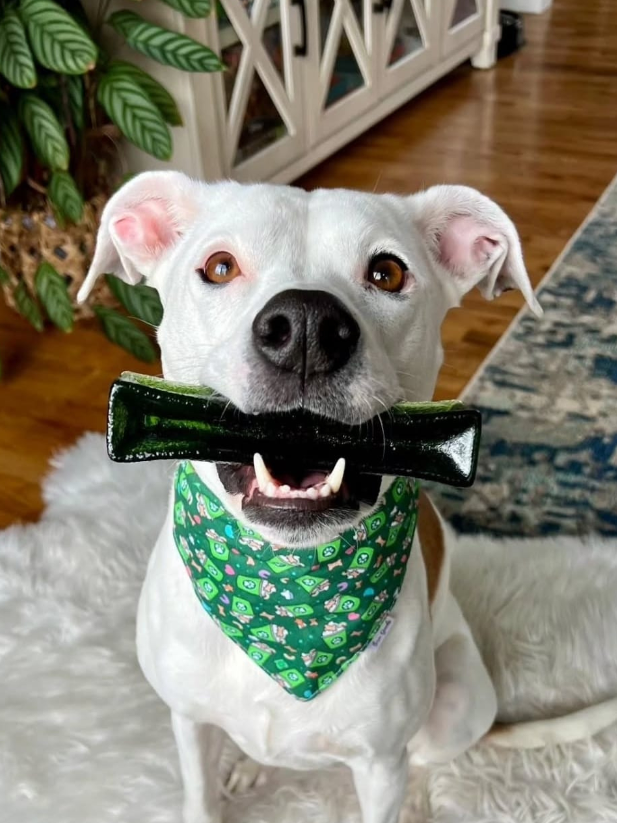 Mighty Marrows - Collagen Dental Chews