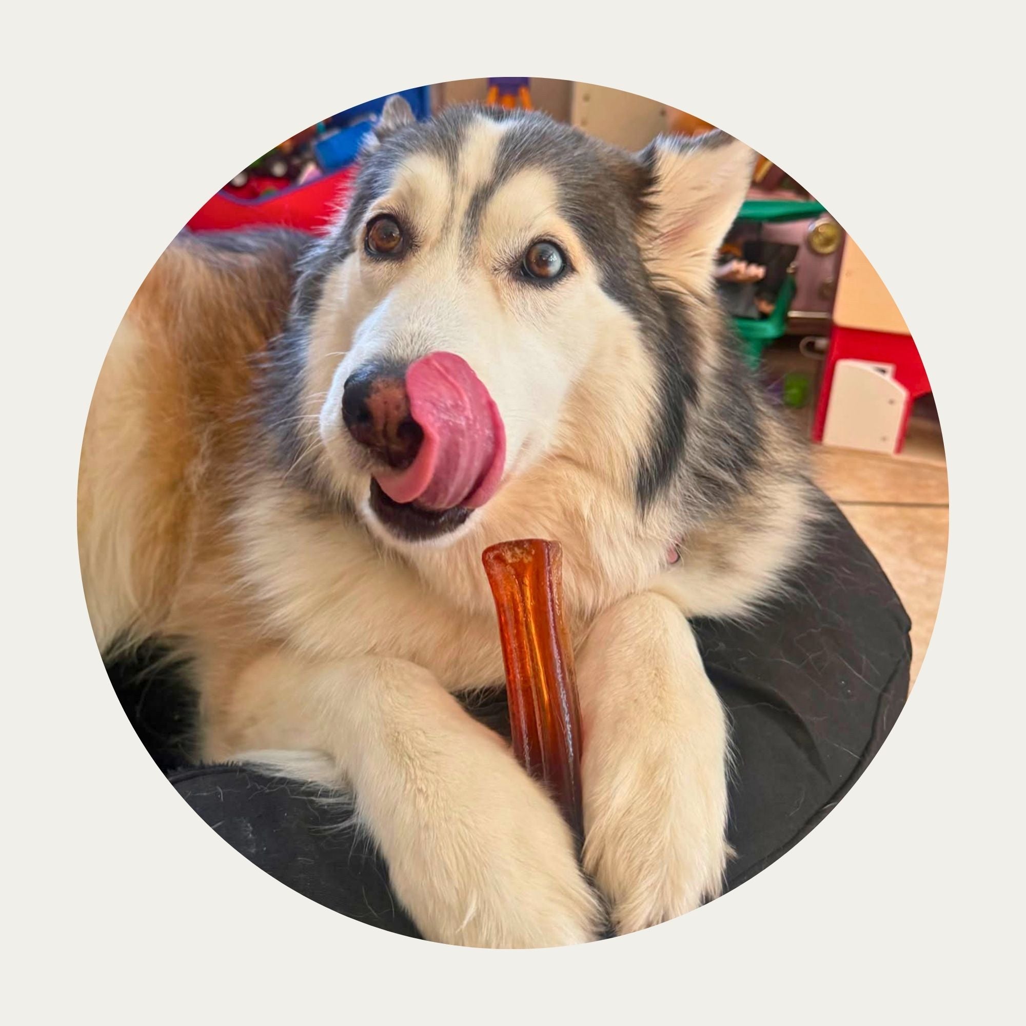 Mighty Marrows® Collagen Dental Chews 