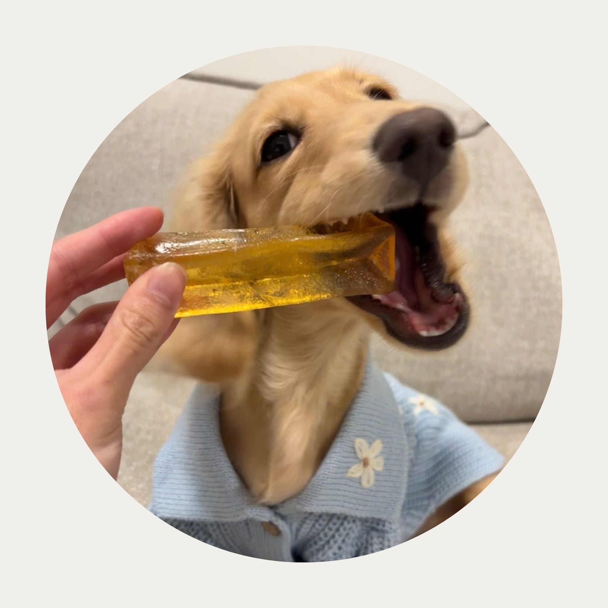 Mighty Marrows® Collagen Dental Chews