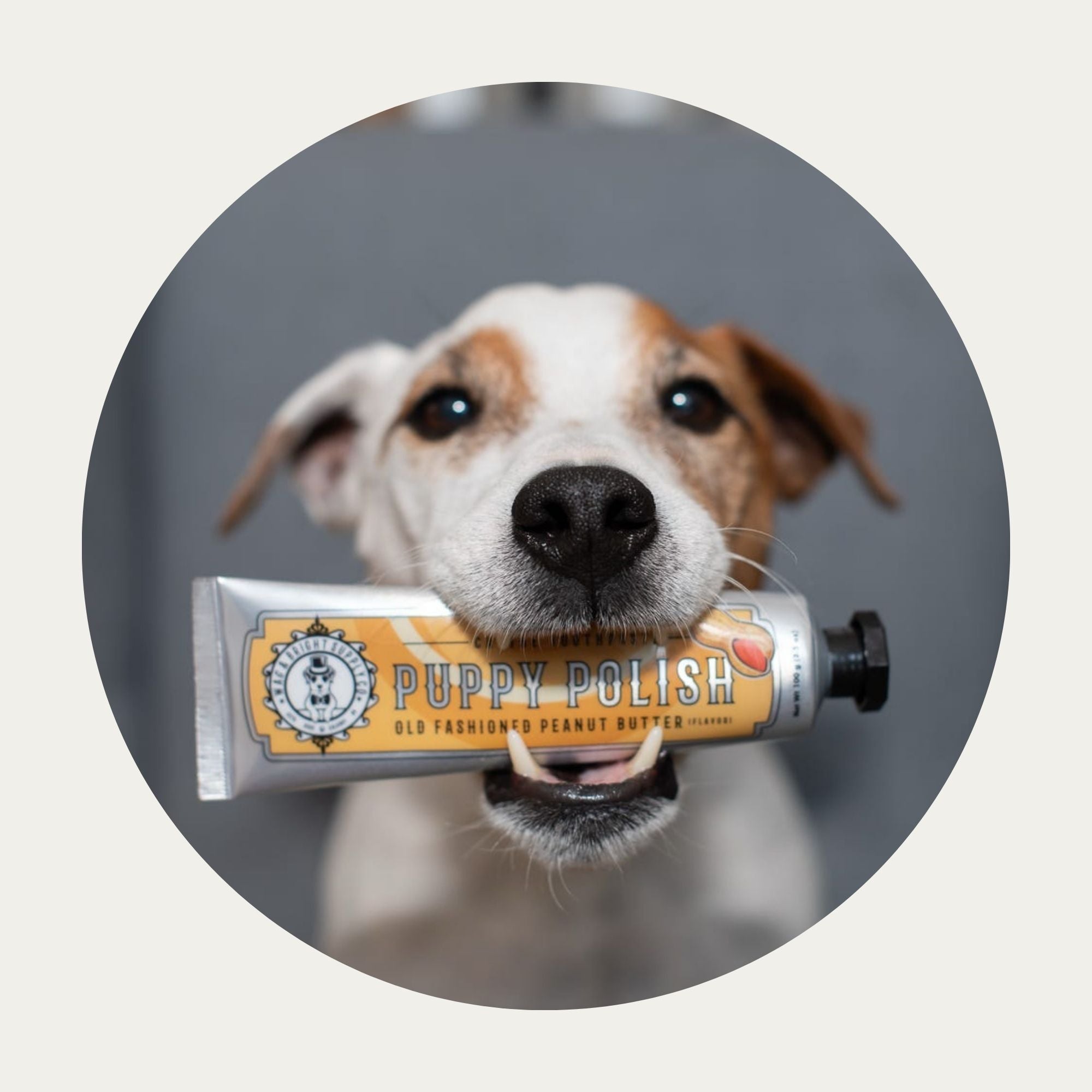 Puppy Polish Toothpaste | Old Fashioned Peanut Butter