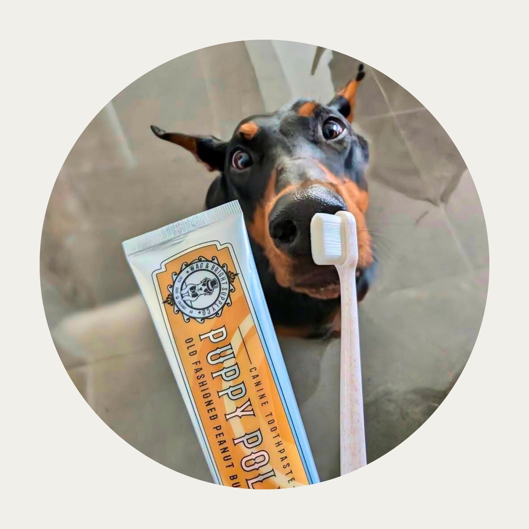 Puppy Polisher Toothpaste Bundle USA
