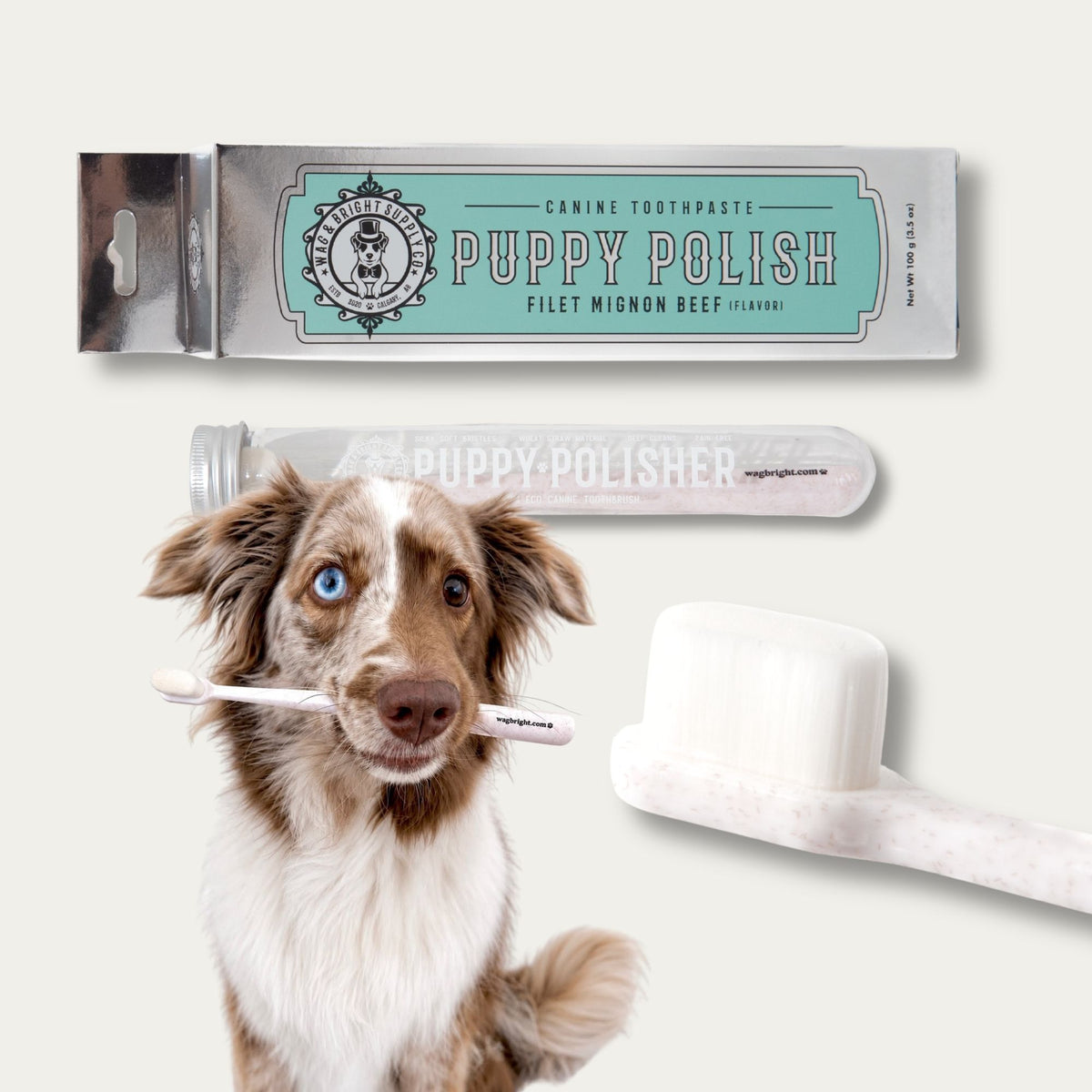 Puppy Polisher Toothbrush & Toothpaste Bundle