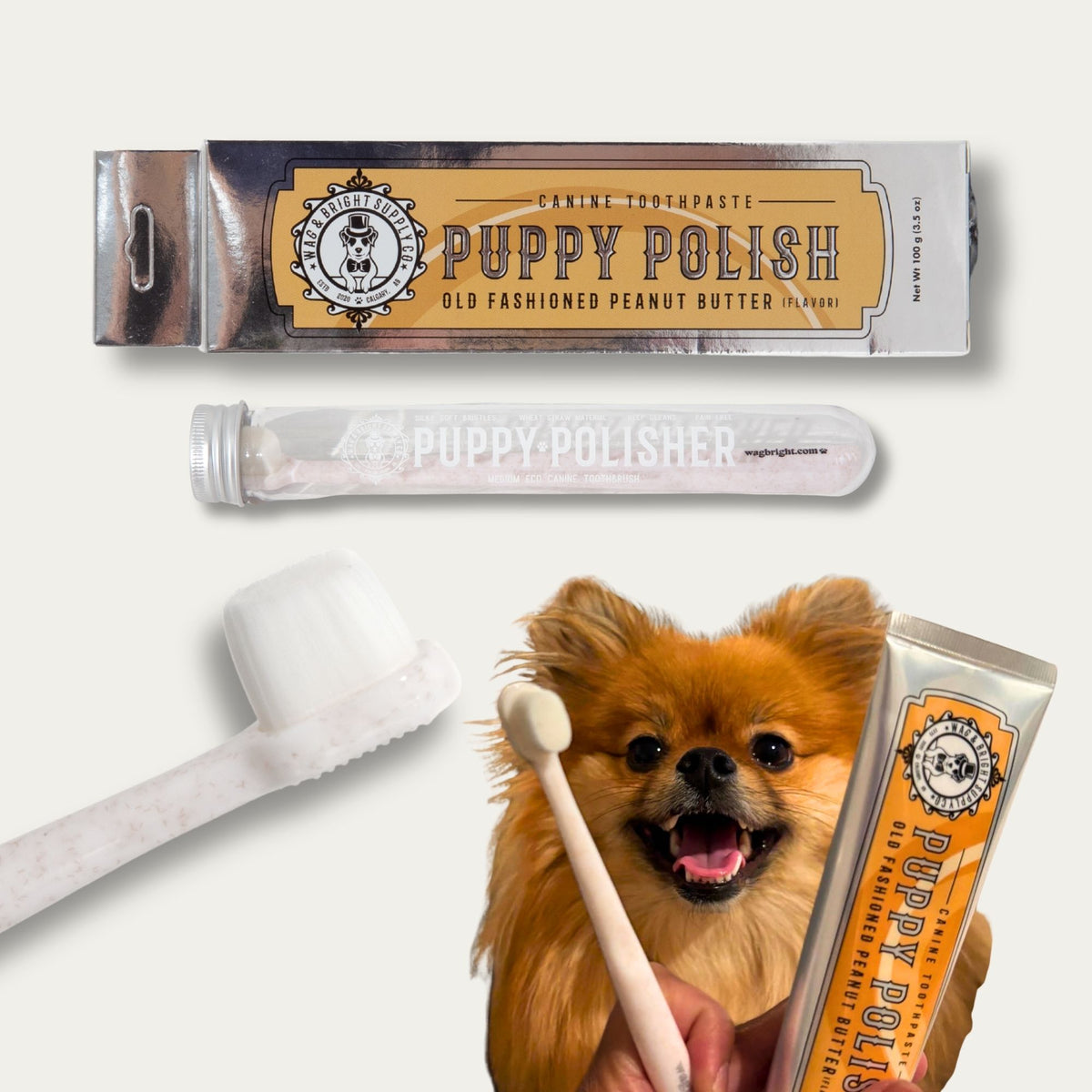 Puppy Polisher Toothbrush & Toothpaste Bundle