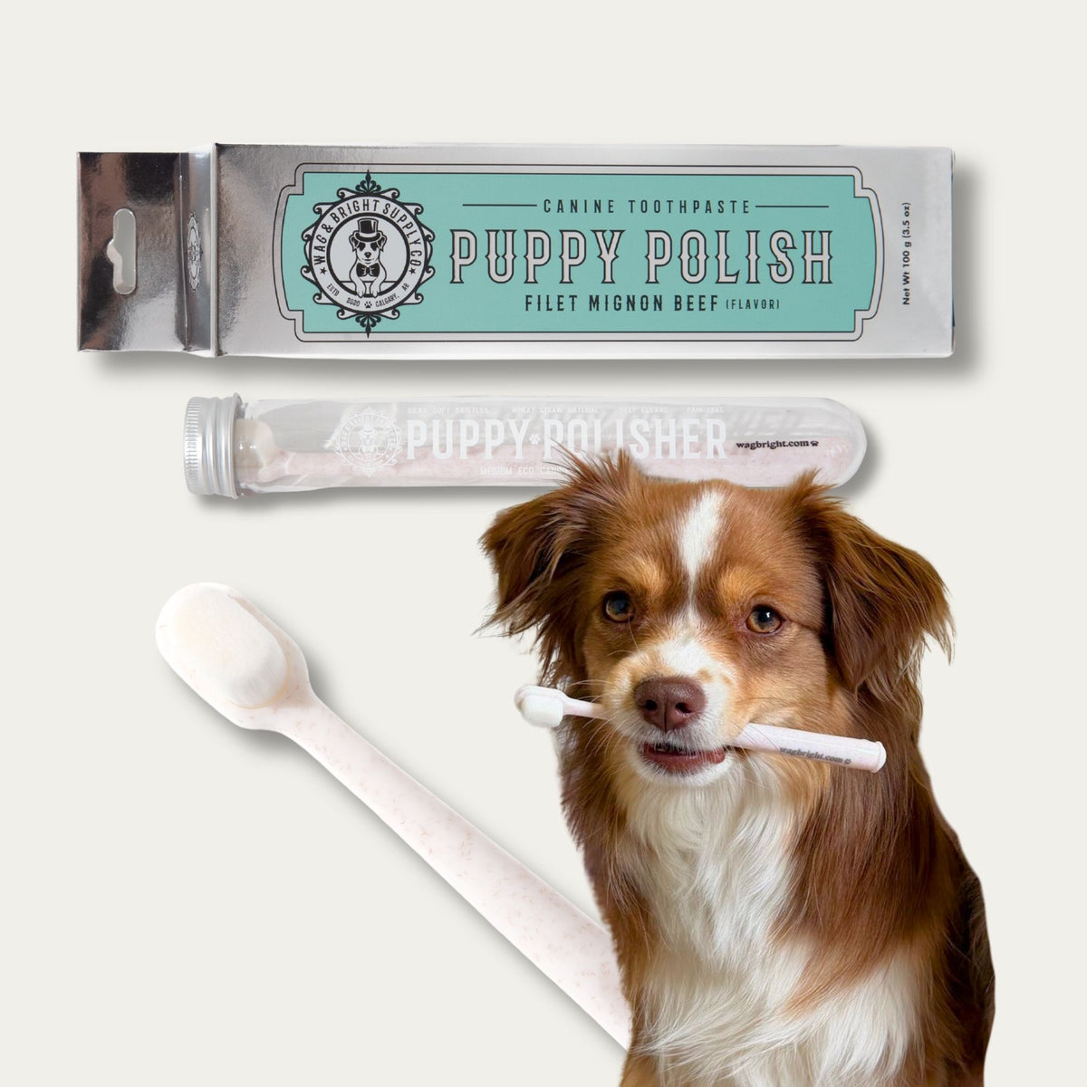 Puppy Polisher Toothbrush & Toothpaste Bundle