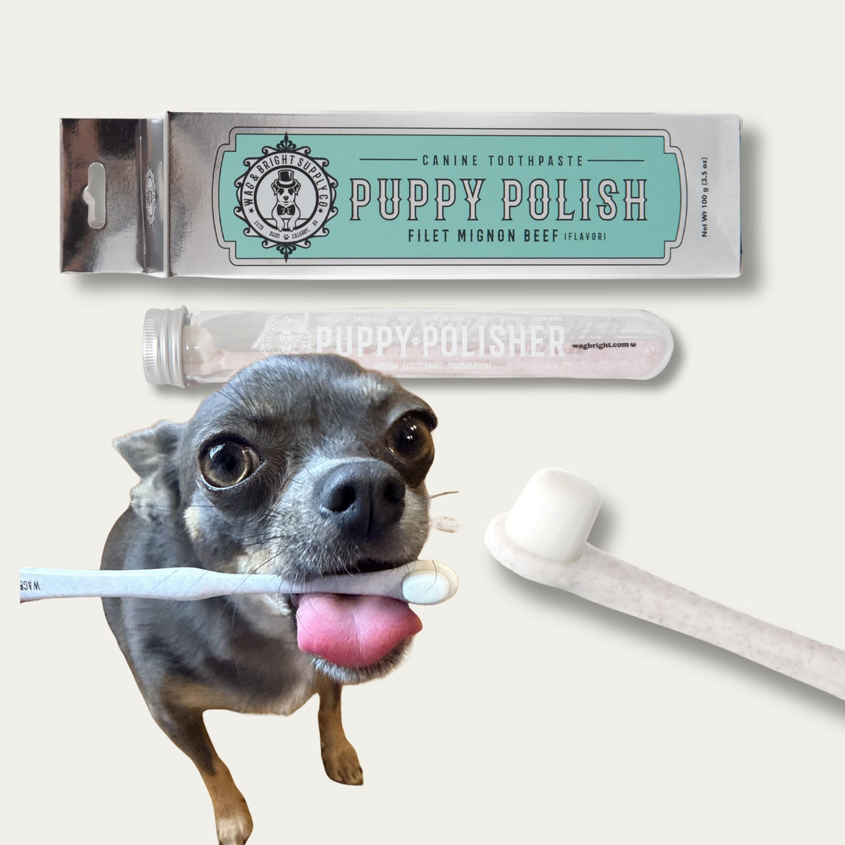 Puppy Polisher Toothbrush & Toothpaste Bundle