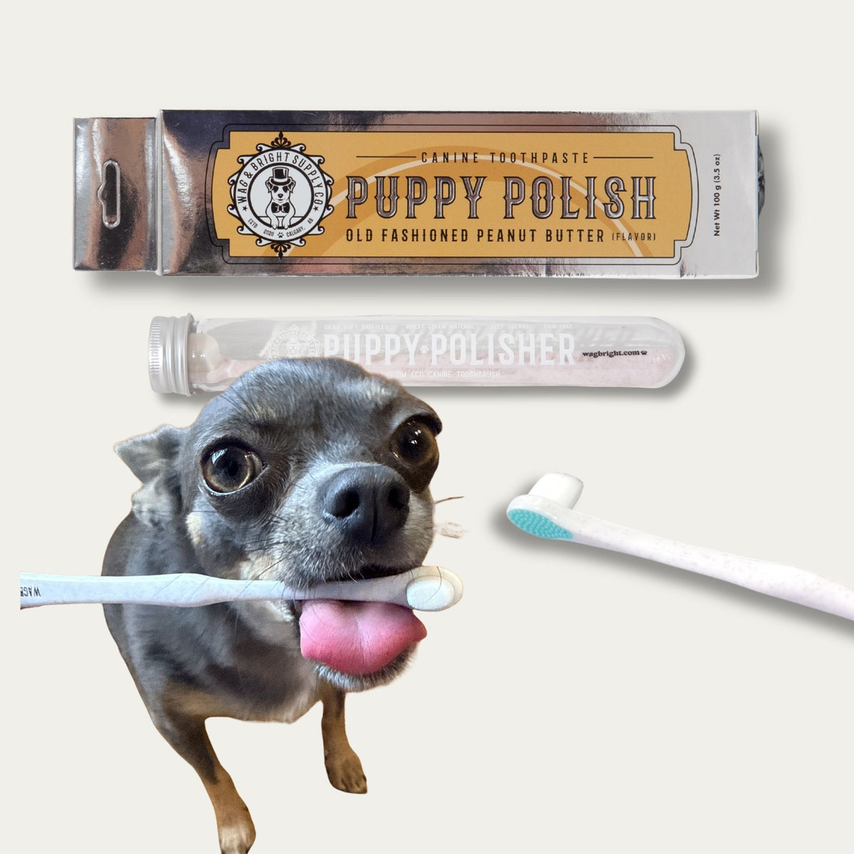 Puppy Polisher Toothbrush & Toothpaste Bundle
