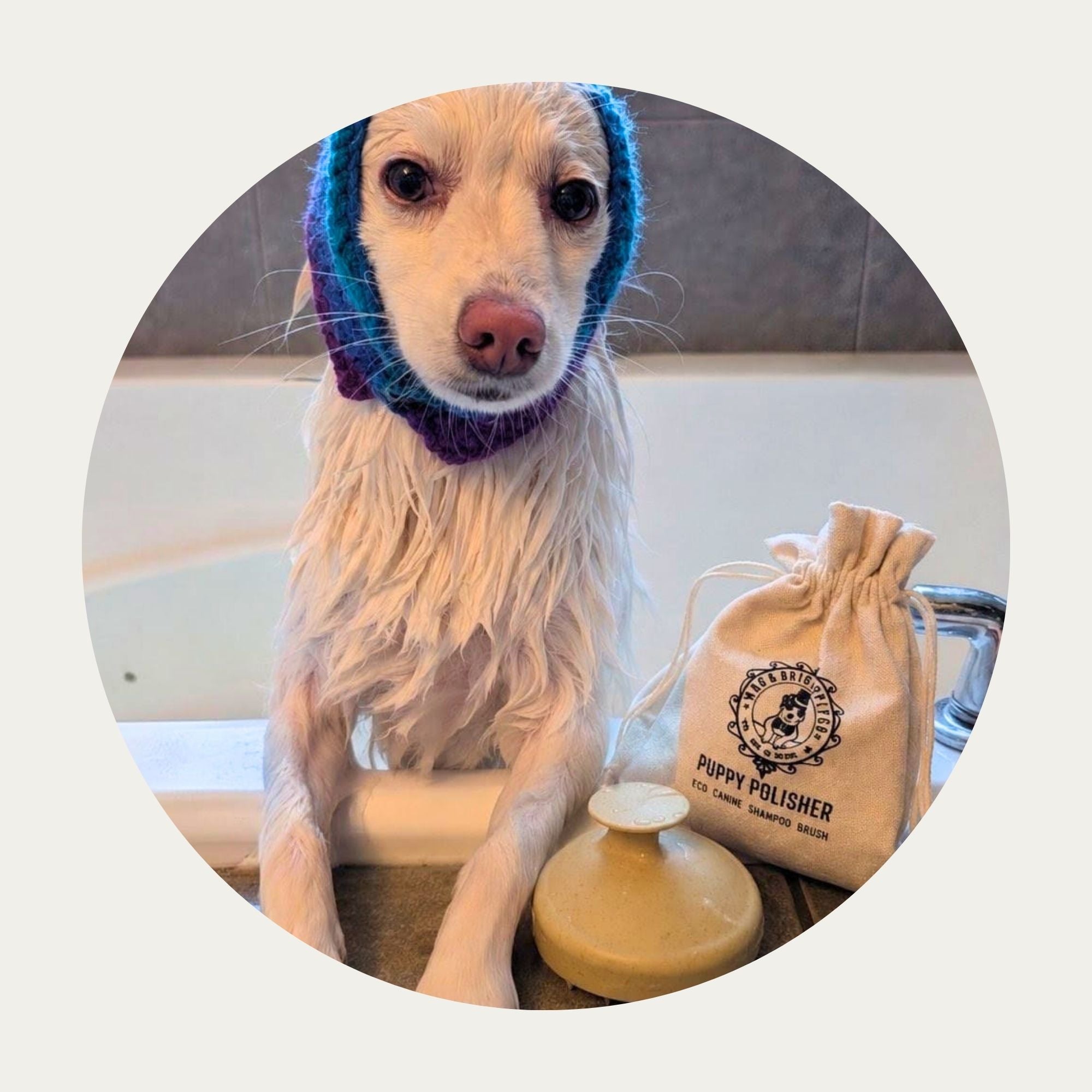 Puppy Polisher Eco Shampoo Brush